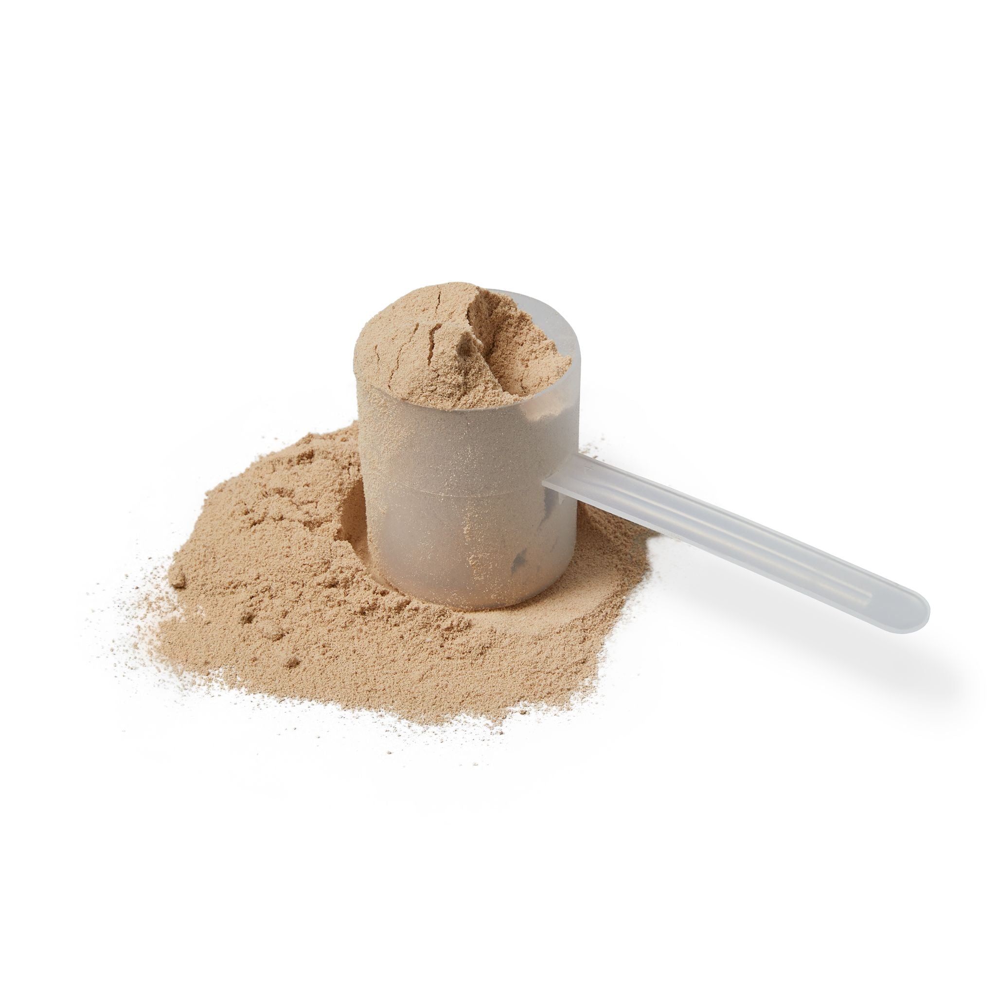 Whey Isolate Protein Supplement, Chocolate
